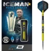 Avalanche GOLD 90% NT dartpile Gerwyn Price