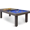 Dino Rustik poolbord