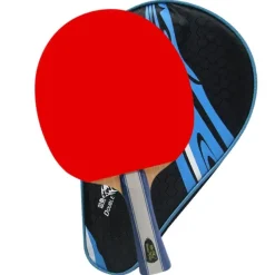 Double Fish J6 bordtennis bat m/ etui og Paris24 bolde