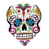 Quadro flights fra Harrows - 2003 Skull